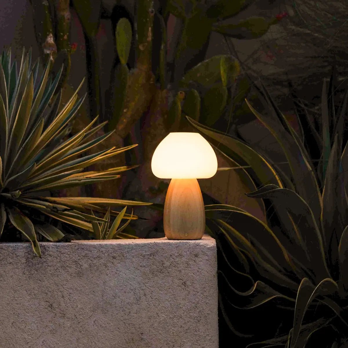 Beer lichtbruin stijlvol oplaadbare lamp-draadloos, dimbaar, milieuvriendelijk ontwerp Tavellio - Amsterdam