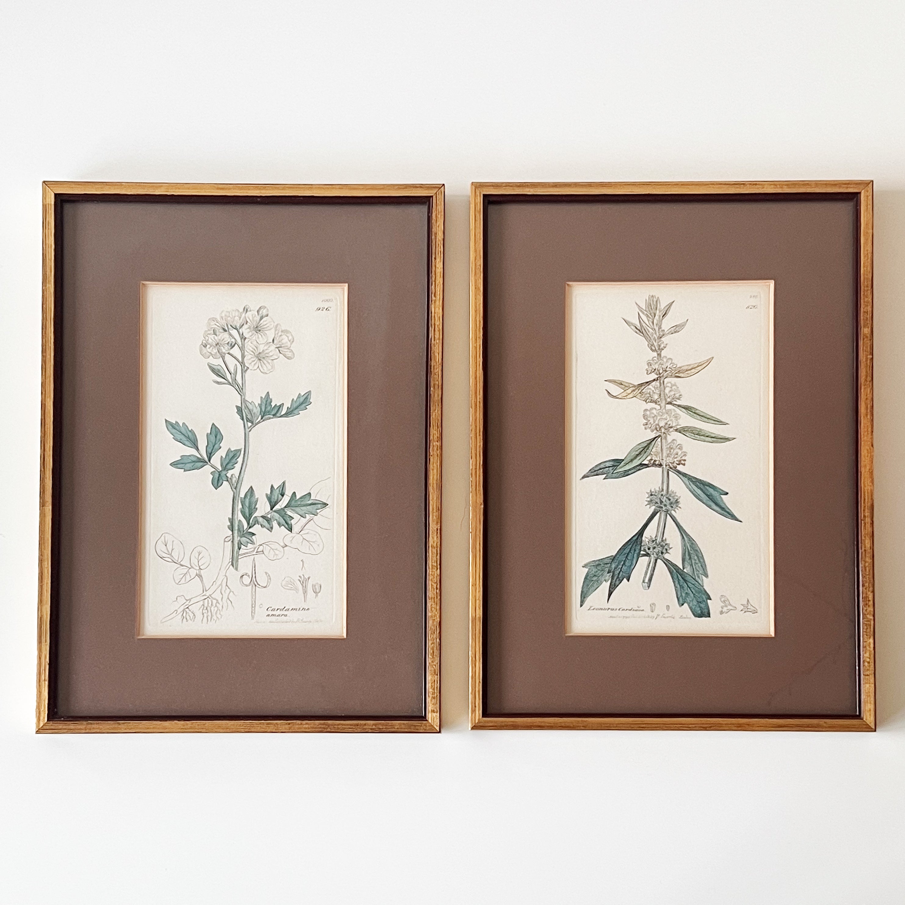 botanische prenten in houten lijst – set van 2 – pre-loved Noii HOME