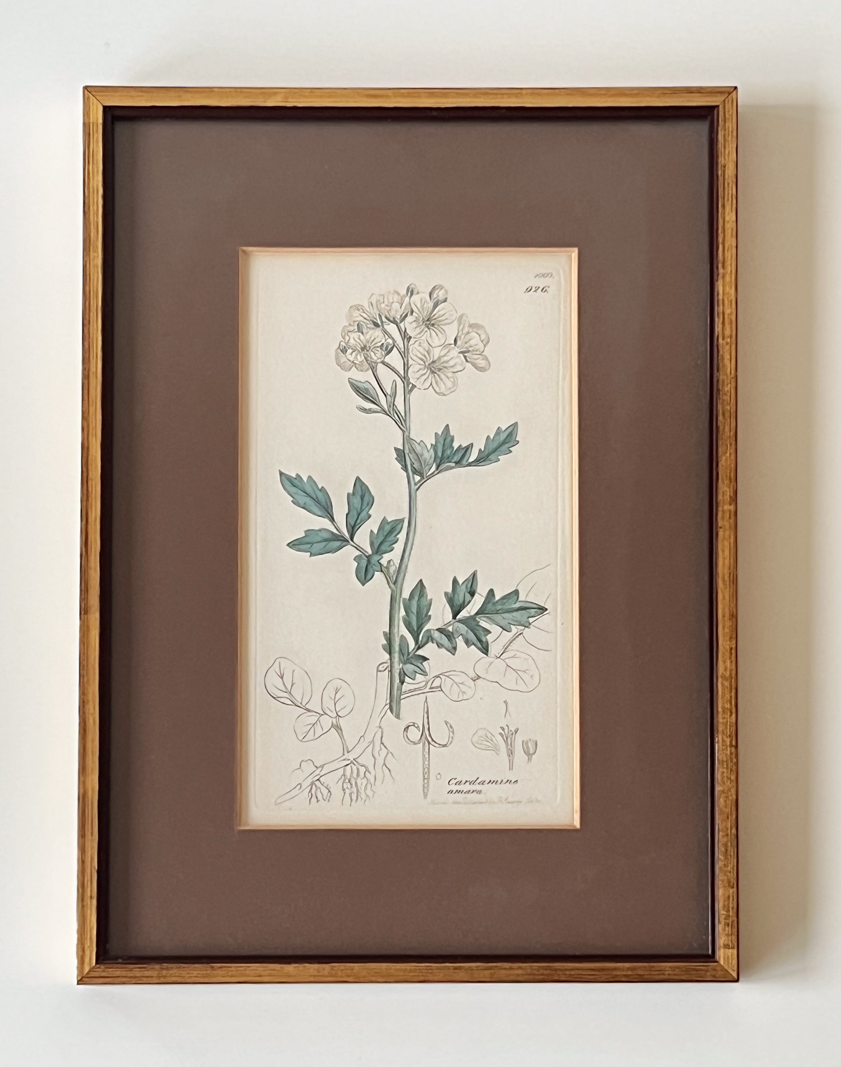 botanische prenten in houten lijst – set van 2 – pre-loved Noii HOME