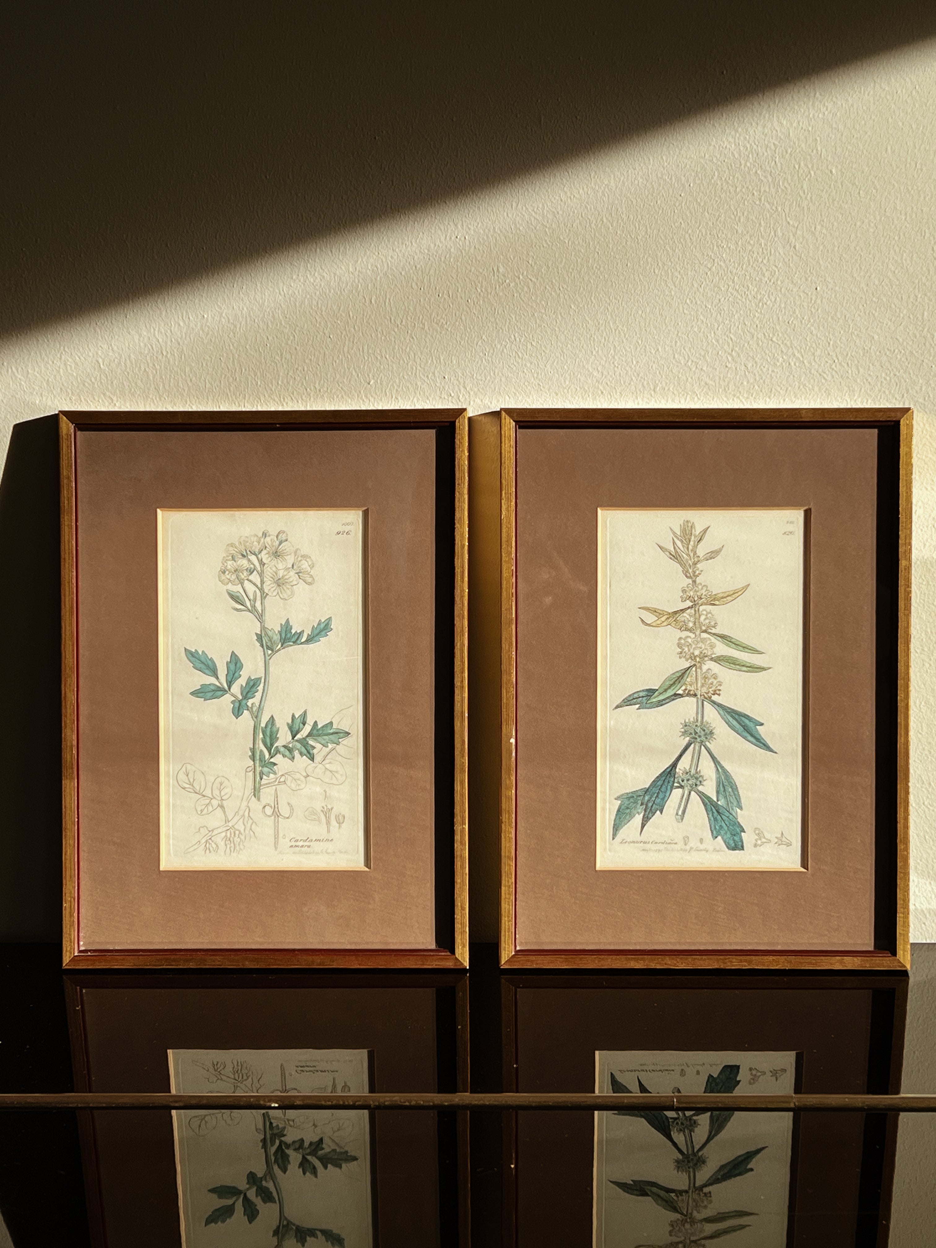 botanische prenten in houten lijst – set van 2 – pre-loved Noii HOME