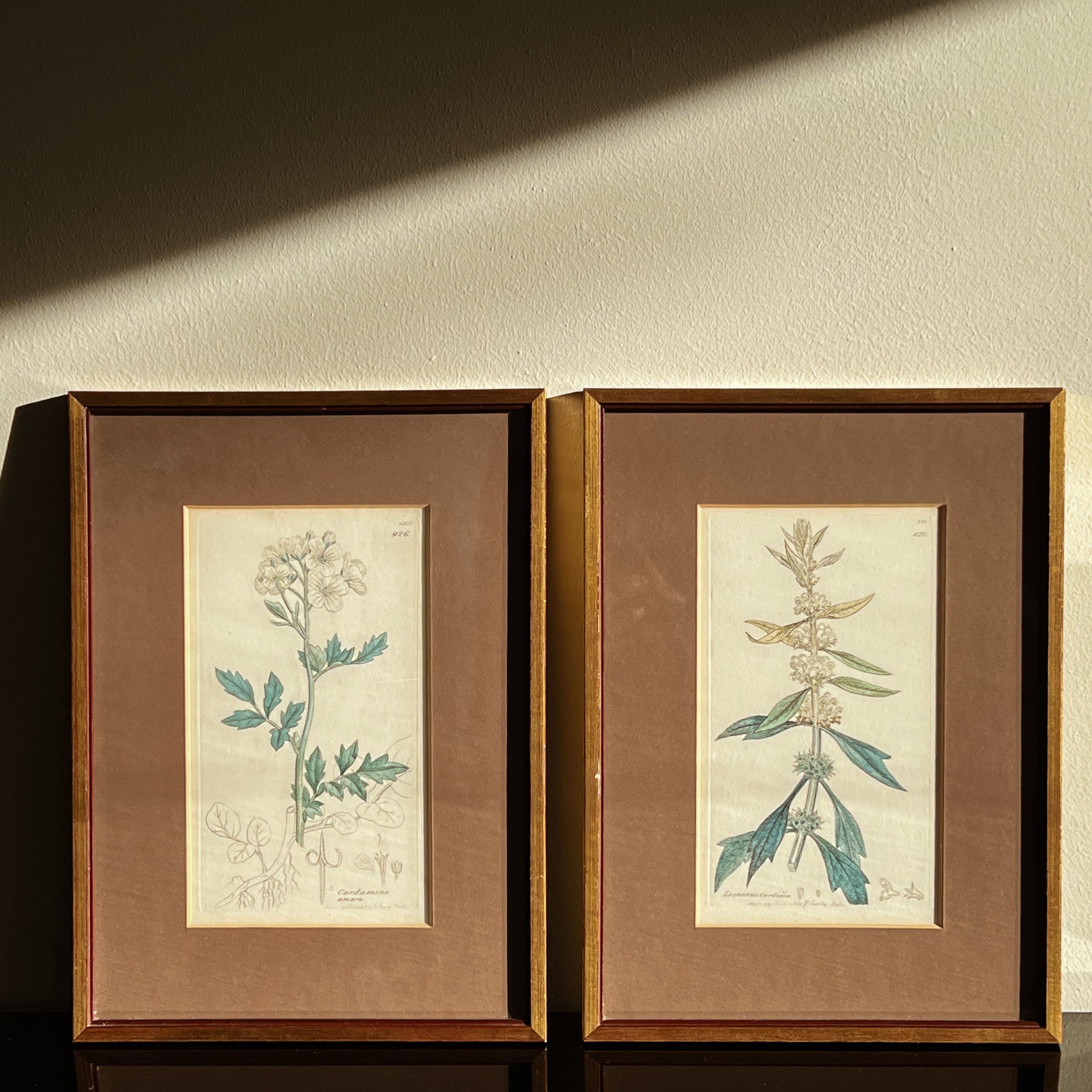 botanische prenten in houten lijst – set van 2 – pre-loved Noii HOME