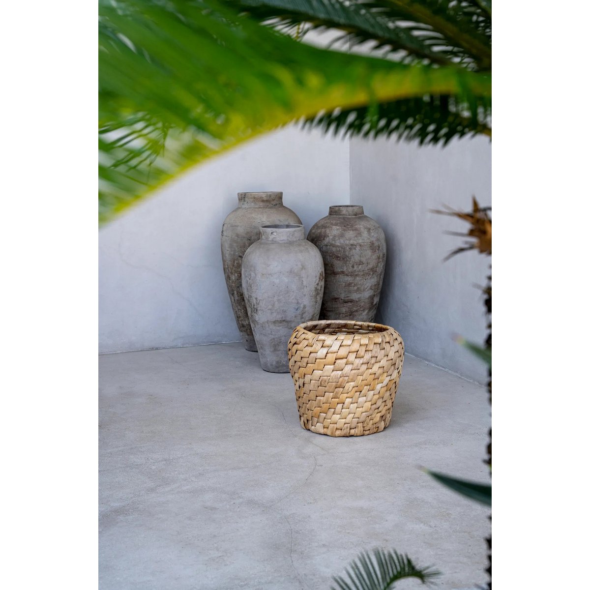 De Chidi-mand Bazar Bizar Living