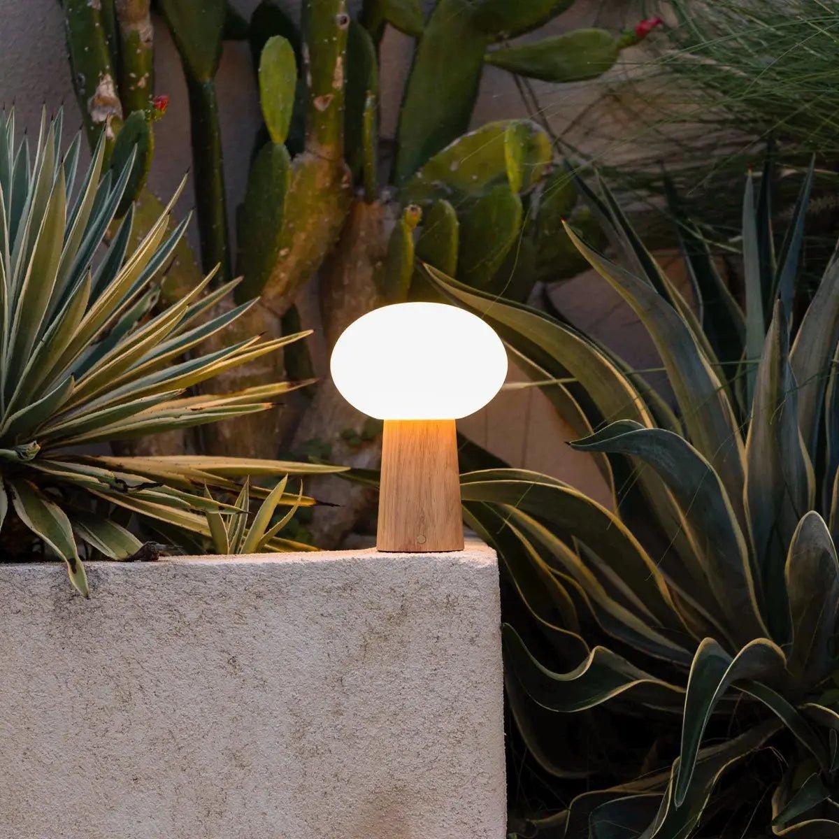 Max lichtbruine houten oplaadbare tafellamp met glas en oplaadbare batterij | Dimbare en veelzijdige verlichting Tavellio - Amsterdam