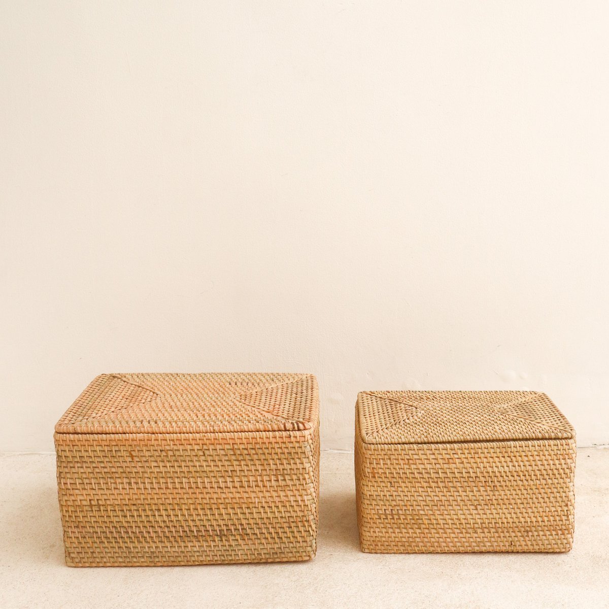 Opbergmand met deksel Plankmand gemaakt van beige rotan handgeweven decoratieve mand GRAHA (2 maten) Soeji