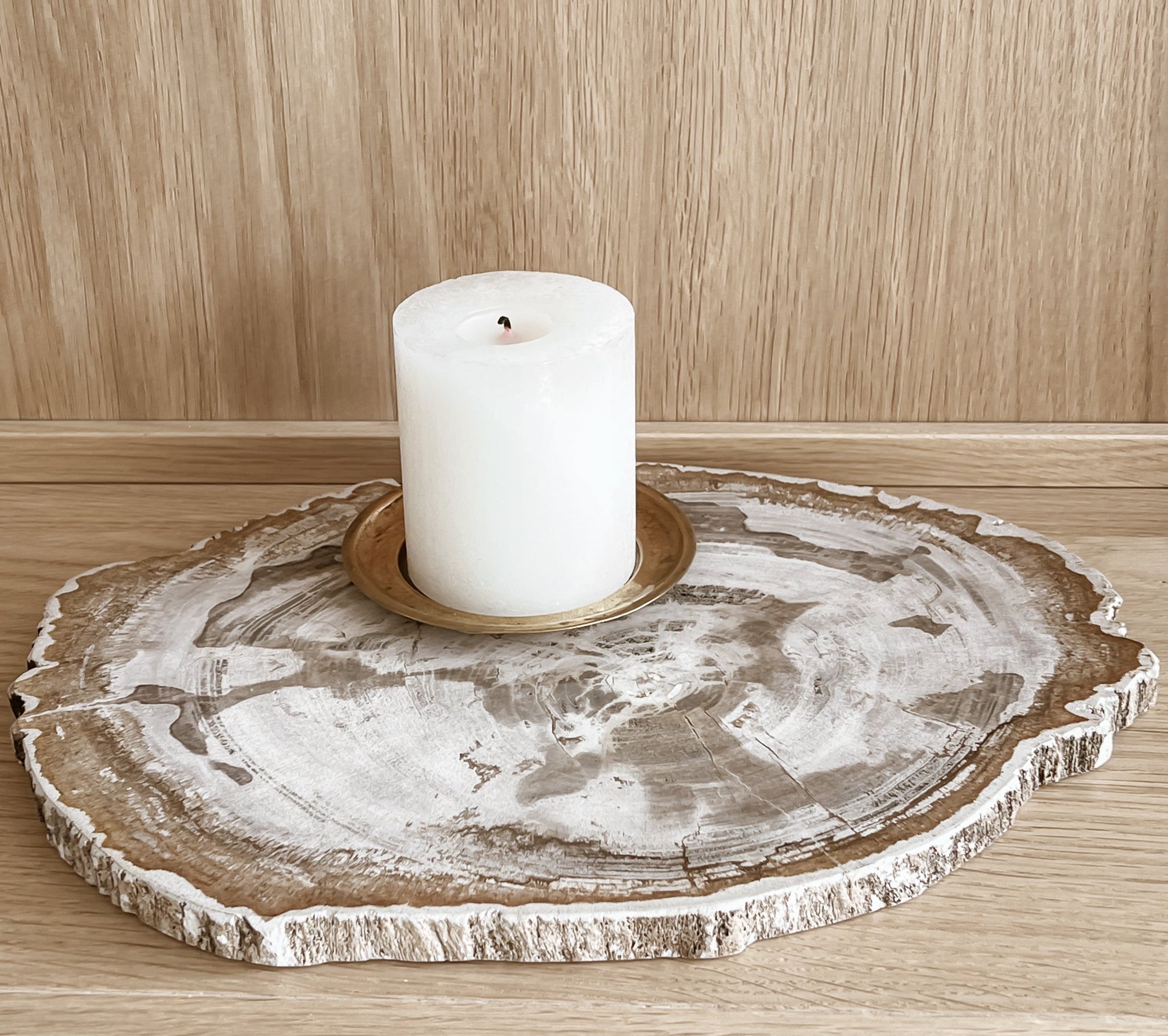 schijf versteend hout - NAQI – natuurlijke schoonheid in je interieur Noii home