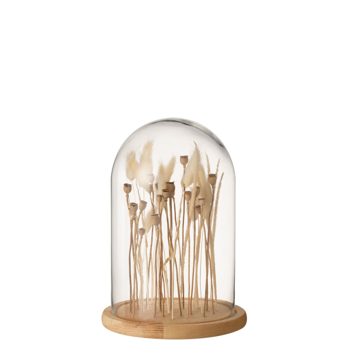 J-Line - decoration dome dried flowers - ecru/brown - glass - wood - small version