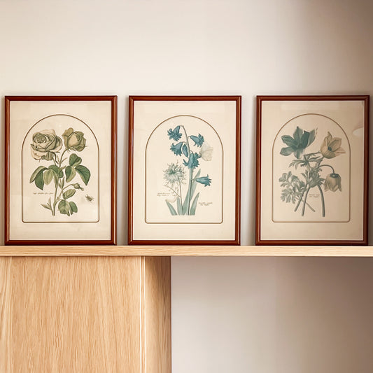 Botanical prints - walnut colored frame