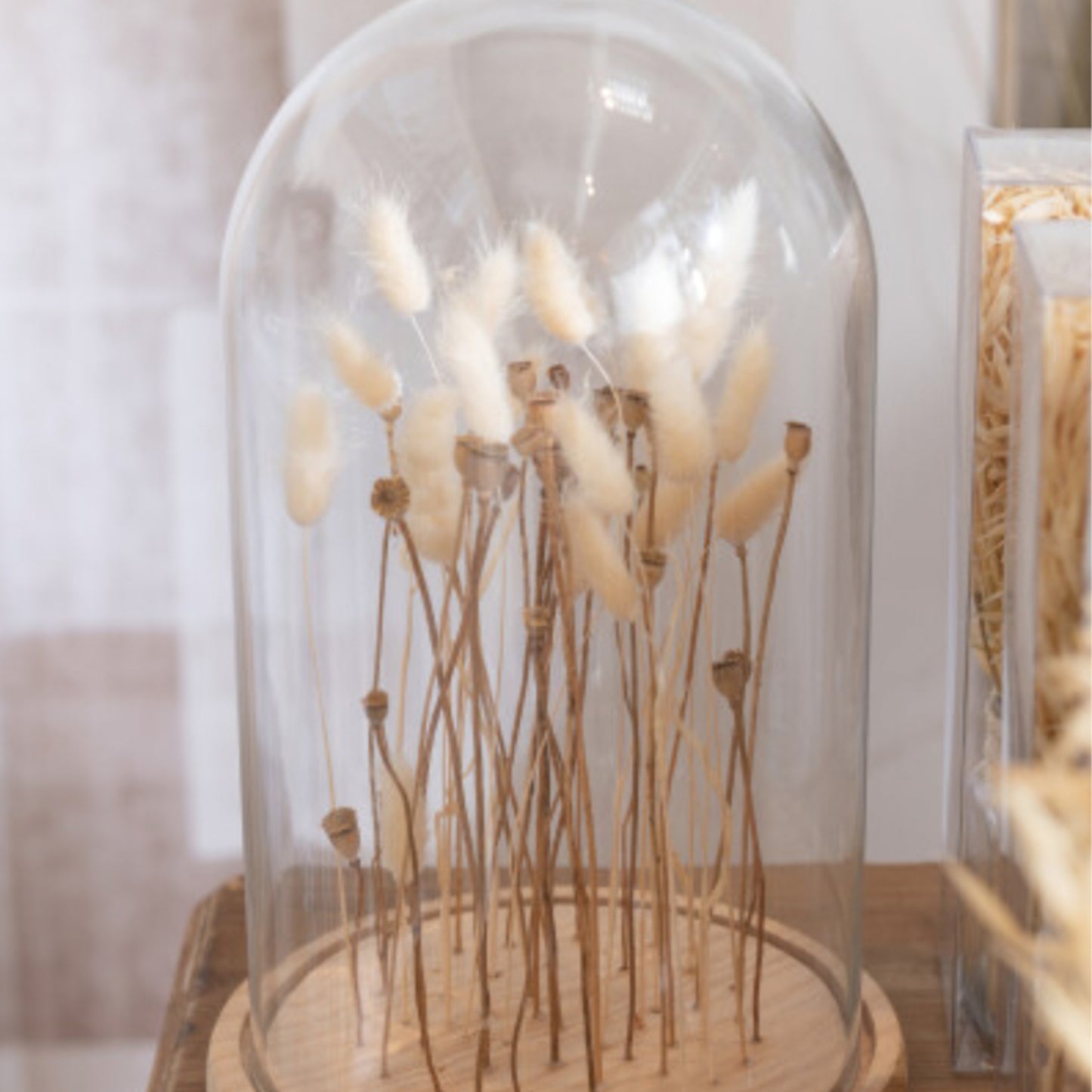 J-Line - decoration dome dried flowers - ecru/brown - glass - wood - small version