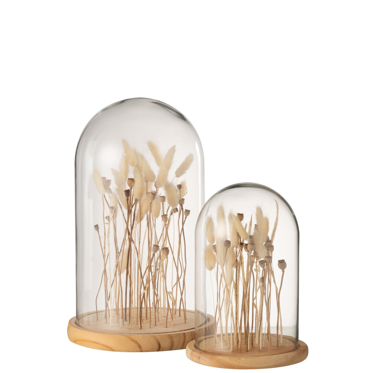 J-Line - decoration dome dried flowers - ecru/brown - glass wood - large