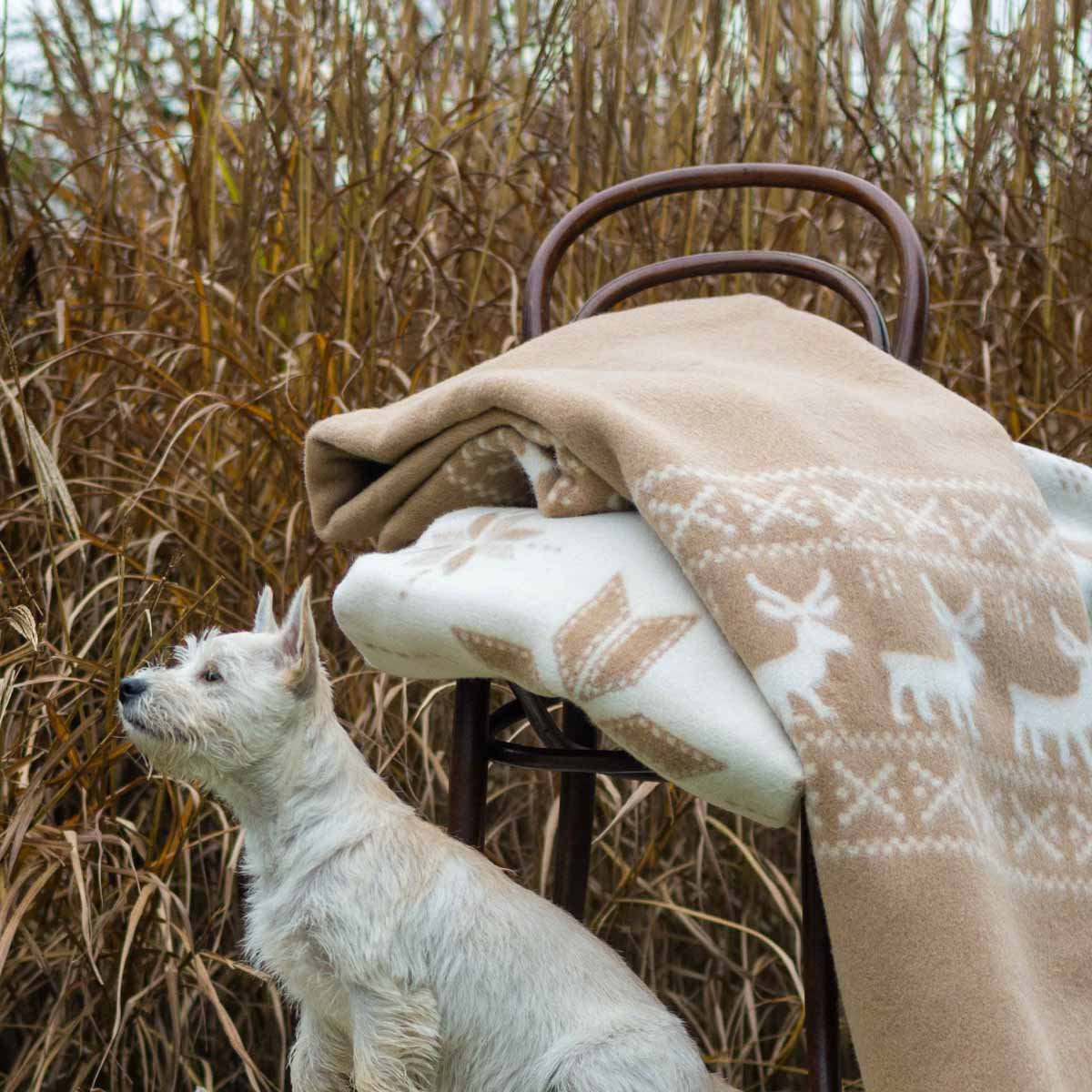 Beddeken van merinowol RENDEER - beige MoST Blankets