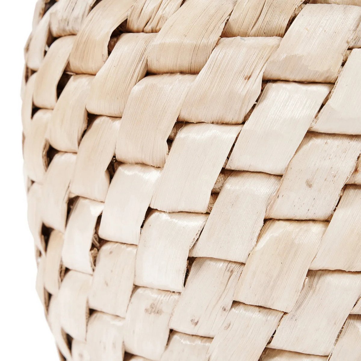De Chidi-mand Bazar Bizar Living