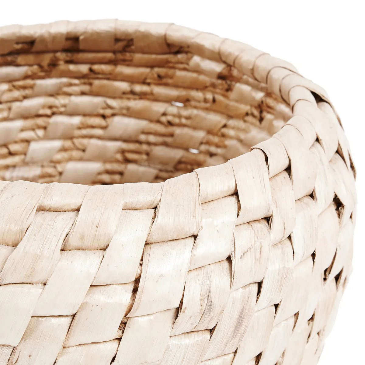De Chidi-mand Bazar Bizar Living