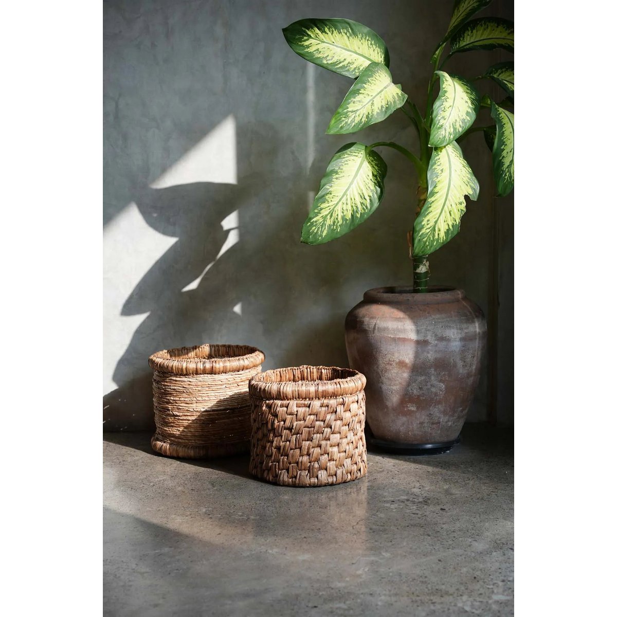 De Chuka-mand Bazar Bizar Living