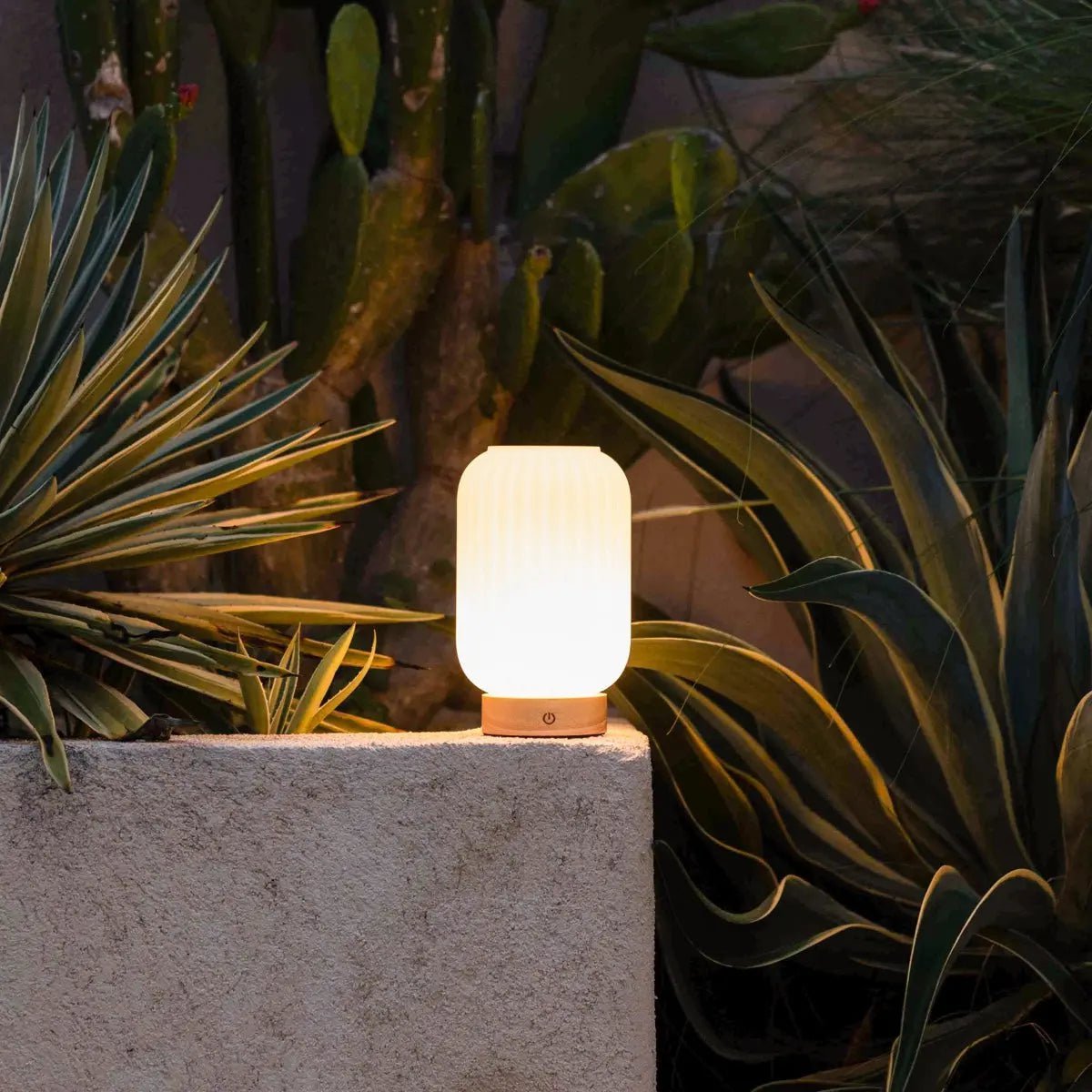 Unieke oplaadbare lamp Lilly – matglas en houten voet, dimbaar, 3 lichtmodi Tavellio - Amsterdam