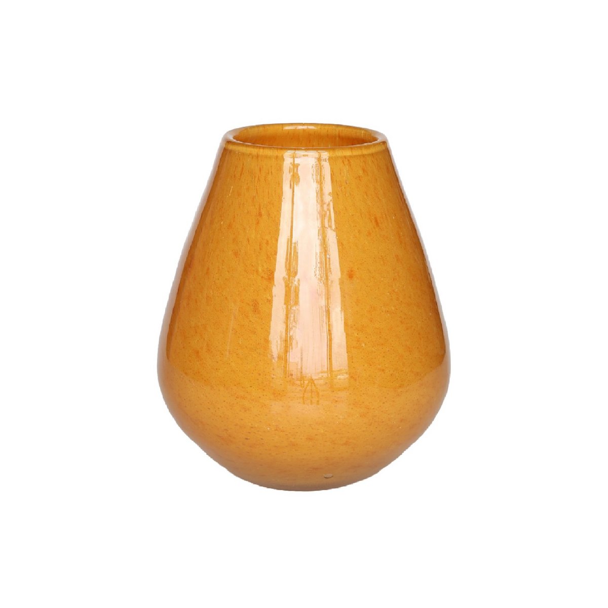 Vaas - Tasman S Elite yellow Vase The World